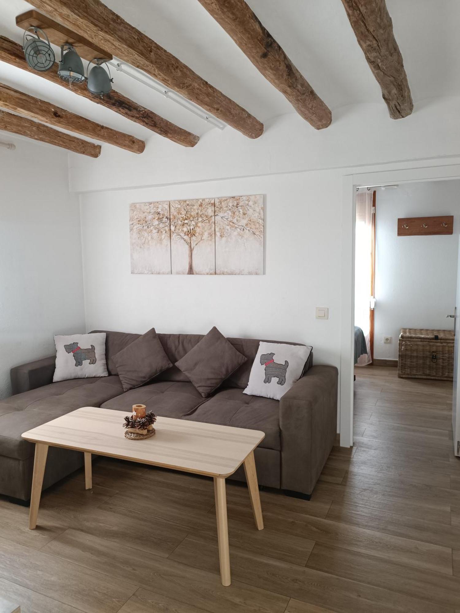 Apartament Turistic 坎普德瓦诺尔 外观 照片